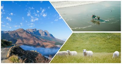 Климат Новой Зеландии